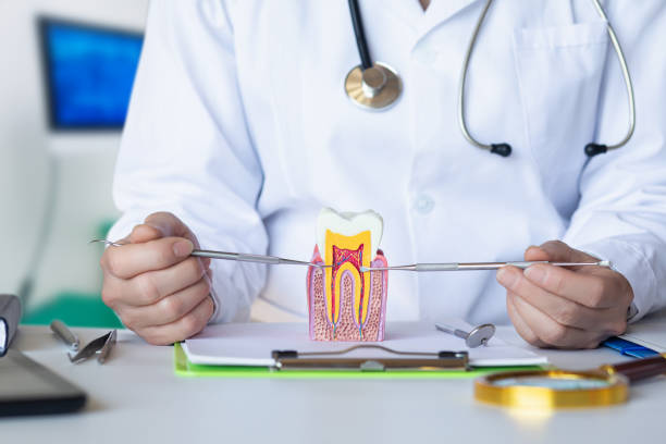 Best Emergency Dental Care for Trauma or Injury in Rockwell City, IA